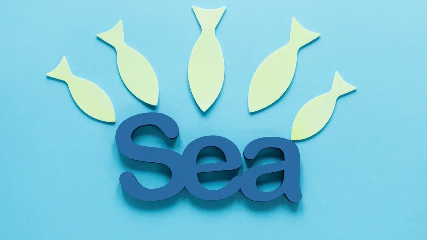 Вид сверху на море с бумажными рыбами